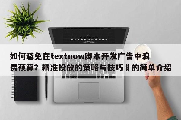 如何避免在textnow脚本开发广告中浪费预算?精准投放的策略与技巧⚡的简单介绍