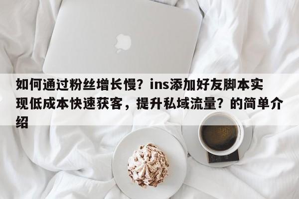 如何通过粉丝增长慢？ins添加好友脚本实现低成本快速获客，提升私域流量？的简单介绍