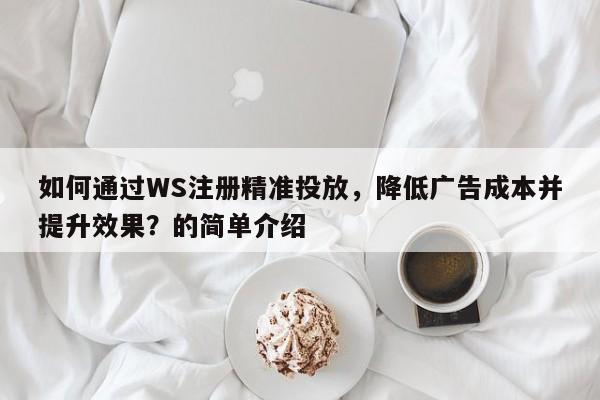 如何通过WS注册精准投放，降低广告成本并提升效果？的简单介绍