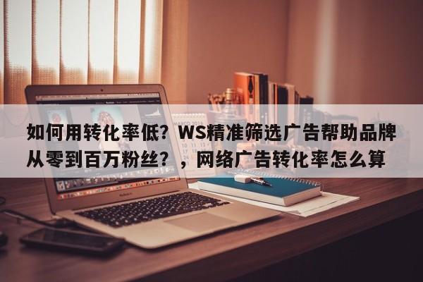 如何用转化率低?WS精准筛选广告帮助品牌从零到百万粉丝?,网络广告转化率怎么算