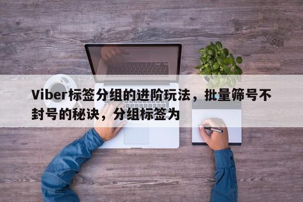 Viber标签分组的进阶玩法,批量筛号不封号的秘诀,分组标签为