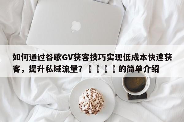 如何通过谷歌GV获客技巧实现低成本快速获客，提升私域流量？📈的简单介绍