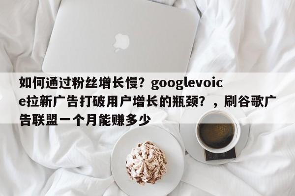 如何通过粉丝增长慢?googlevoice拉新广告打破用户增长的瓶颈?,刷谷歌广告联盟一个月能赚多少