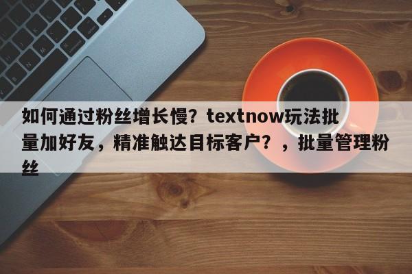如何通过粉丝增长慢？textnow玩法批量加好友，精准触达目标客户？，批量管理粉丝
