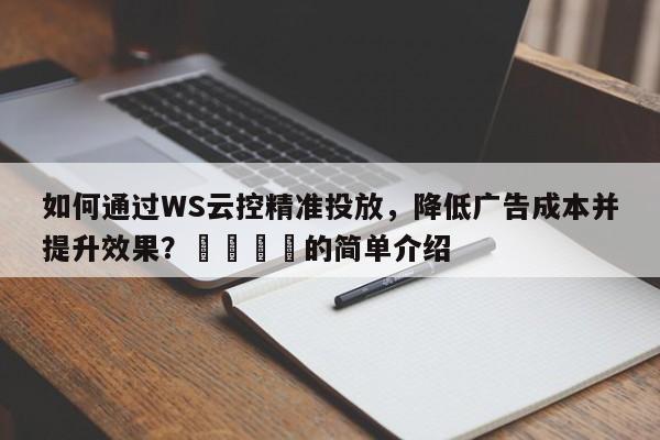 如何通过WS云控精准投放，降低广告成本并提升效果？💡的简单介绍
