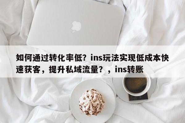 如何通过转化率低？ins玩法实现低成本快速获客，提升私域流量？，ins转账