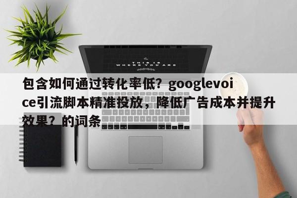 包含如何通过转化率低?googlevoice引流脚本精准投放,降低广告成本并提升效果?的词条