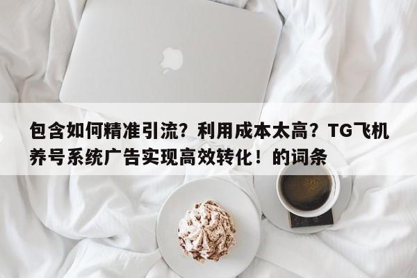 包含如何精准引流?利用成本太高?TG飞机养号系统广告实现高效转化!的词条