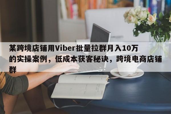 某跨境店铺用Viber批量拉群月入10万的实操案例，低成本获客秘诀，跨境电商店铺群