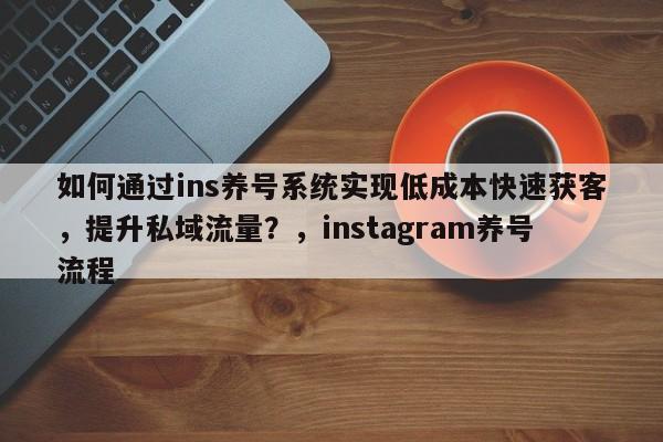 如何通过ins养号系统实现低成本快速获客，提升私域流量？，instagram养号流程
