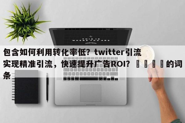 包含如何利用转化率低？twitter引流实现精准引流，快速提升广告ROI？📈的词条