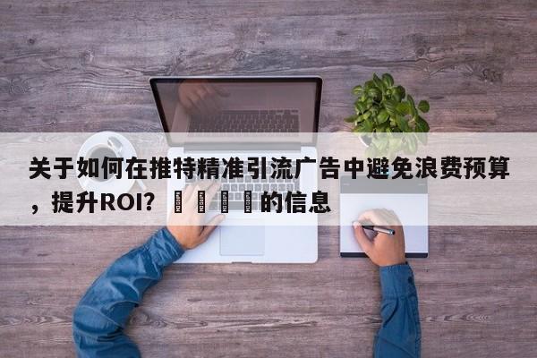 关于如何在推特精准引流广告中避免浪费预算，提升ROI？📈的信息