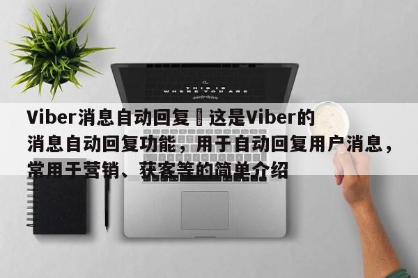 Viber消息自动回复–这是Viber的消息自动回复功能，用于自动回复用户消息，常用于营销、获客等的简单介绍