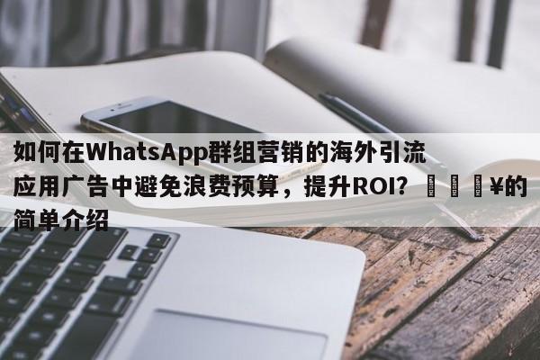 如何在WhatsApp群组营销的海外引流应用广告中避免浪费预算，提升ROI？🔥的简单介绍