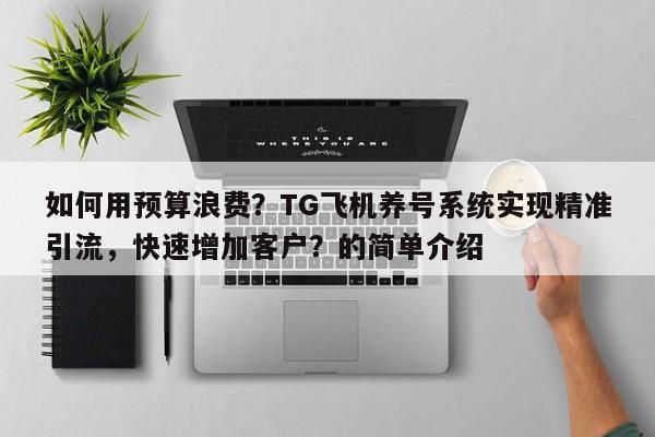 如何用预算浪费？TG飞机养号系统实现精准引流，快速增加客户？的简单介绍