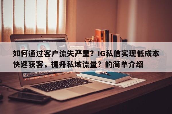 如何通过客户流失严重？IG私信实现低成本快速获客，提升私域流量？的简单介绍