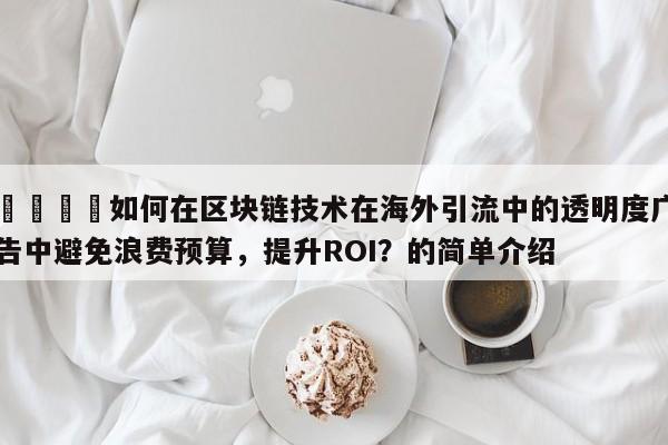 🚀如何在区块链技术在海外引流中的透明度广告中避免浪费预算，提升ROI？的简单介绍