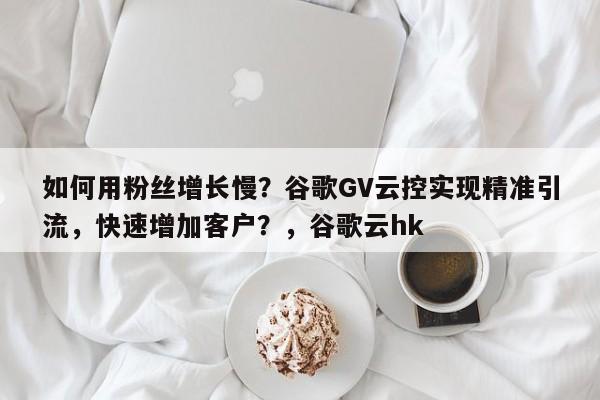 如何用粉丝增长慢?谷歌GV云控实现精准引流,快速增加客户?,谷歌云hk