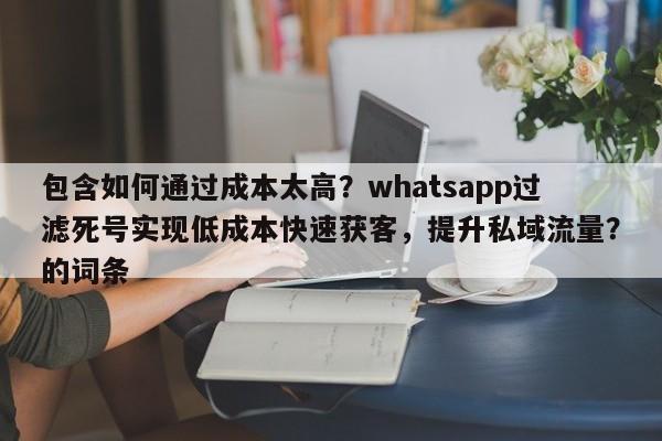 包含如何通过成本太高?whatsapp过滤死号实现低成本快速获客,提升私域流量?的词条