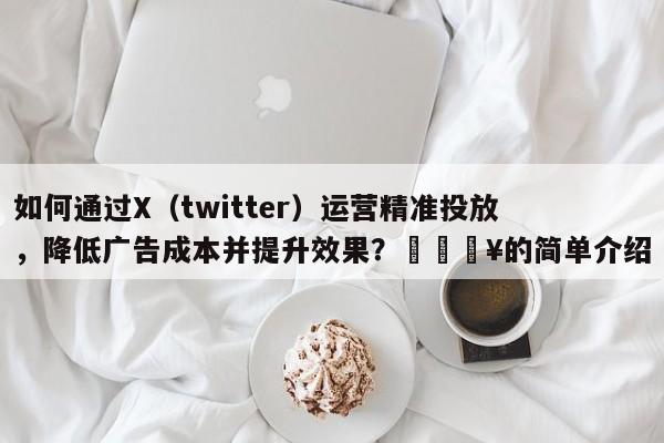 如何通过X（twitter）运营精准投放，降低广告成本并提升效果？💥的简单介绍