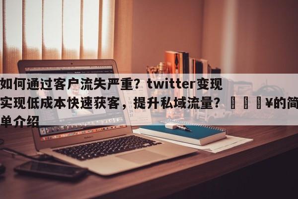 如何通过客户流失严重？twitter变现实现低成本快速获客，提升私域流量？💥的简单介绍