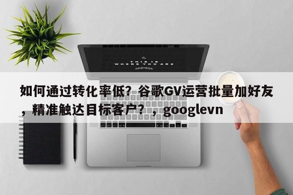 如何通过转化率低？谷歌GV运营批量加好友，精准触达目标客户？，googlevn