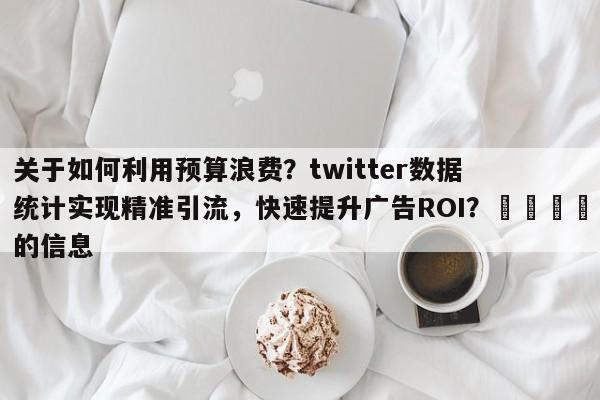 关于如何利用预算浪费？twitter数据统计实现精准引流，快速提升广告ROI？📣的信息