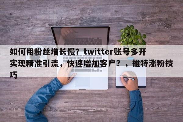 如何用粉丝增长慢?twitter账号多开实现精准引流,快速增加客户?,推特涨粉技巧