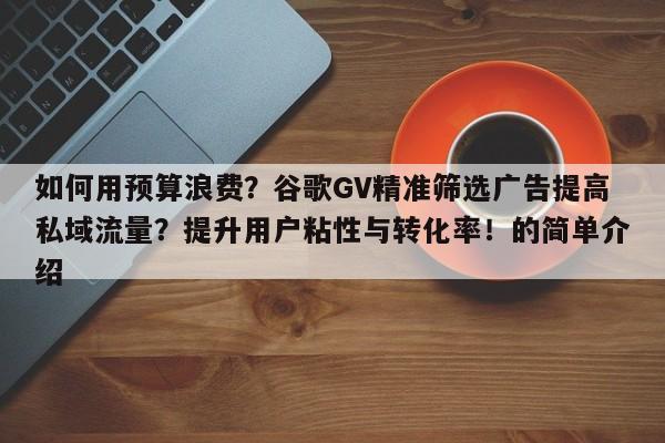 如何用预算浪费?谷歌GV精准筛选广告提高私域流量?提升用户粘性与转化率!的简单介绍