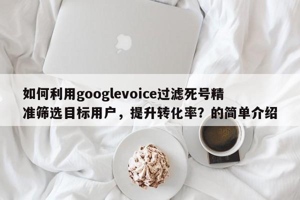 如何利用googlevoice过滤死号精准筛选目标用户，提升转化率？的简单介绍