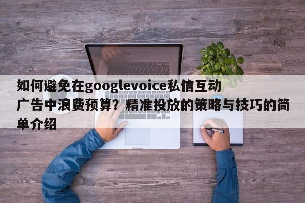 如何避免在googlevoice私信互动广告中浪费预算?精准投放的策略与技巧的简单介绍