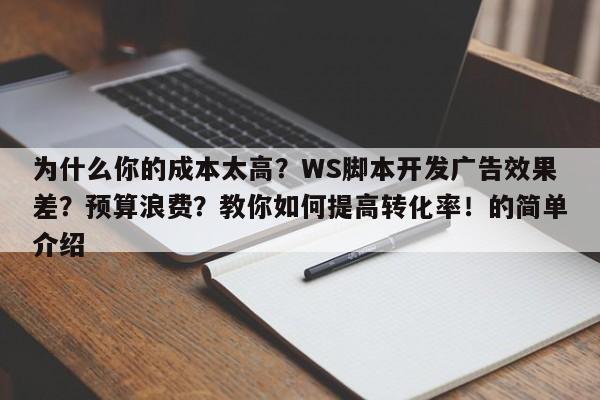 为什么你的成本太高?WS脚本开发广告效果差?预算浪费?教你如何提高转化率!的简单介绍