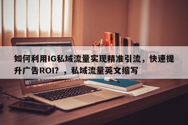 如何利用IG私域流量实现精准引流，快速提升广告ROI？，私域流量英文缩写