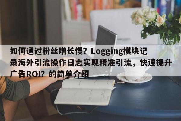 如何通过粉丝增长慢？Logging模块记录海外引流操作日志实现精准引流，快速提升广告ROI？的简单介绍