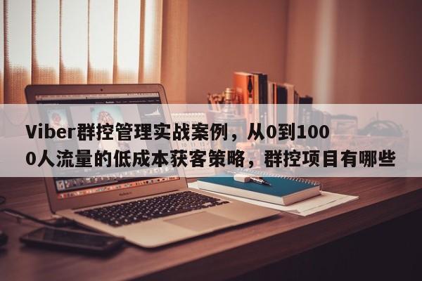 Viber群控管理实战案例，从0到1000人流量的低成本获客策略，群控项目有哪些