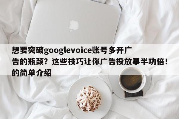 想要突破googlevoice账号多开广告的瓶颈?这些技巧让你广告投放事半功倍!的简单介绍