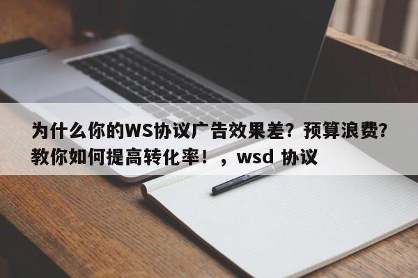 为什么你的WS协议广告效果差?预算浪费?教你如何提高转化率!,wsd 协议
