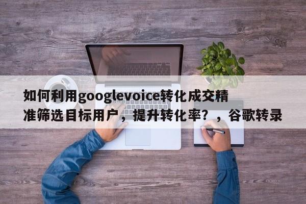 如何利用googlevoice转化成交精准筛选目标用户，提升转化率？，谷歌转录