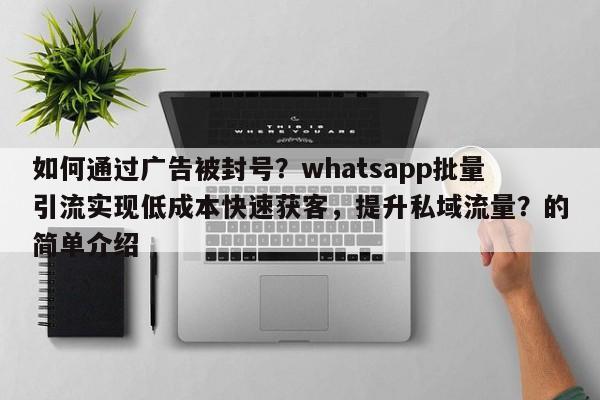 如何通过广告被封号?whatsapp批量引流实现低成本快速获客,提升私域流量?的简单介绍