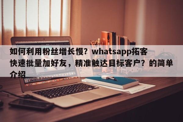 如何利用粉丝增长慢？whatsapp拓客快速批量加好友，精准触达目标客户？的简单介绍