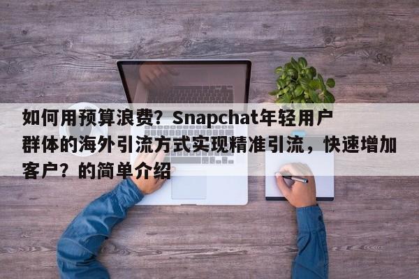 如何用预算浪费?Snapchat年轻用户群体的海外引流方式实现精准引流,快速增加客户?的简单介绍