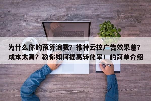 为什么你的预算浪费?推特云控广告效果差?成本太高?教你如何提高转化率!的简单介绍