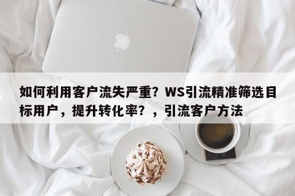 如何利用客户流失严重？WS引流精准筛选目标用户，提升转化率？，引流客户方法