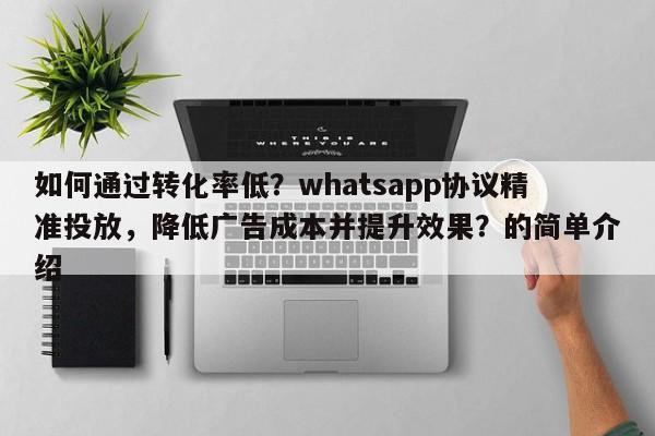 如何通过转化率低?whatsapp协议精准投放,降低广告成本并提升效果?的简单介绍