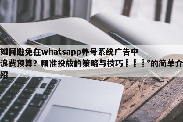 如何避免在whatsapp养号系统广告中浪费预算?精准投放的策略与技巧💰的简单介绍