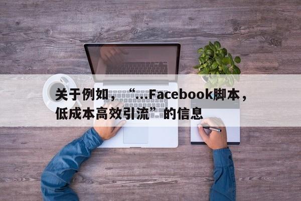 关于例如，“...Facebook脚本，低成本高效引流”的信息