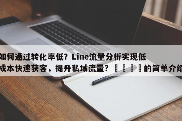 如何通过转化率低？Line流量分析实现低成本快速获客，提升私域流量？🎯的简单介绍
