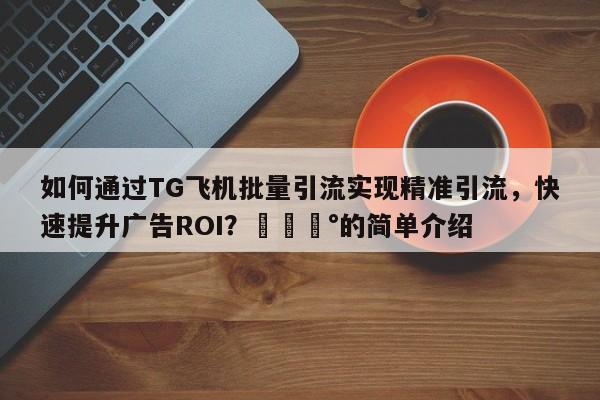 如何通过TG飞机批量引流实现精准引流，快速提升广告ROI？💰的简单介绍