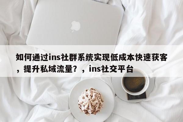 如何通过ins社群系统实现低成本快速获客，提升私域流量？，ins社交平台