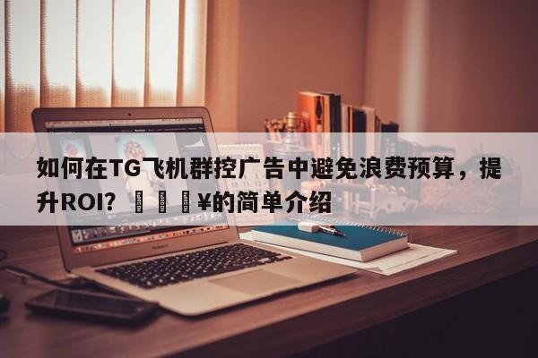 如何在TG飞机群控广告中避免浪费预算，提升ROI？💥的简单介绍